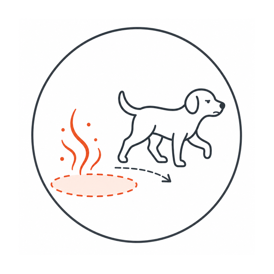 3. Dog avoids the area