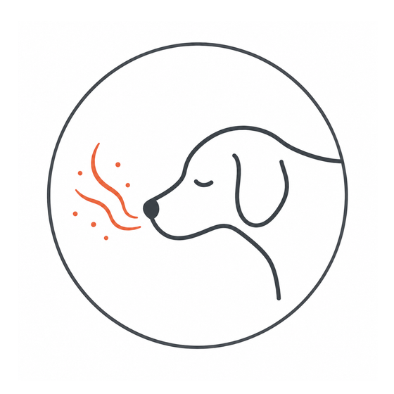 2. Scent Signal